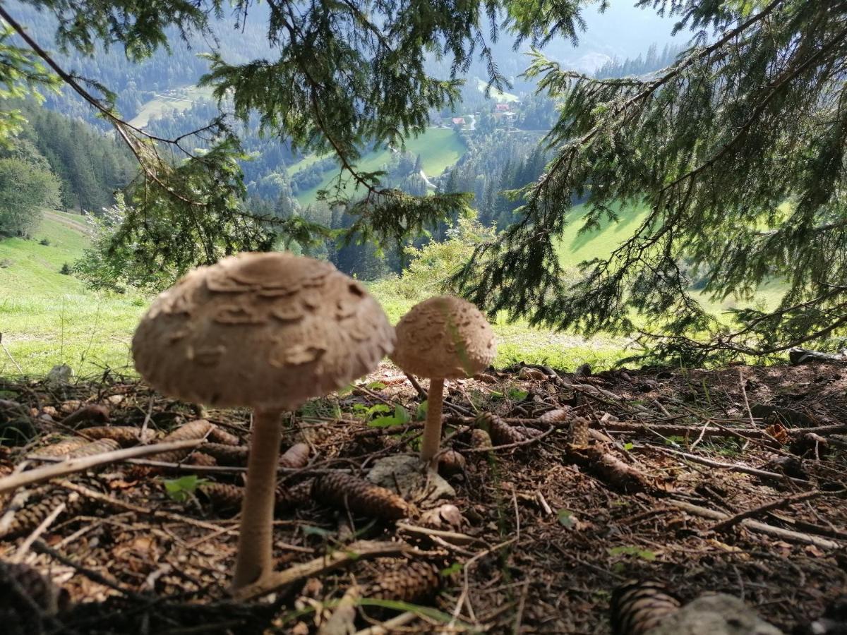 Ferienhaus Stubalpenblick Villa Salla Buitenkant foto